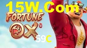 59C App Interface